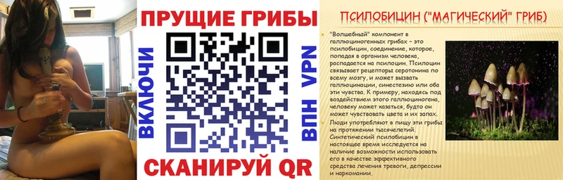 Псилоцибиновые грибы мицелий Уварово