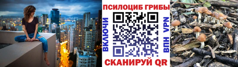 Псилоцибиновые грибы Cubensis  KRAKEN ТОР  Уварово 